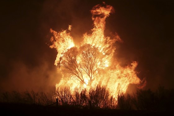 Assessing our response to the Black Summer bushfires