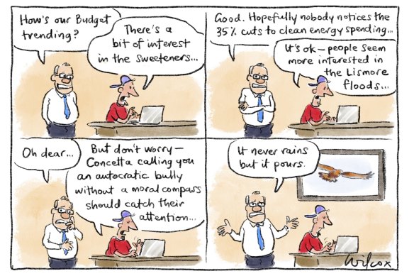 Illustration: Cathy Wilcox