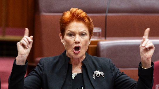 One Nation leader Pauline Hanson has denied the allegations of financial impropriety.
