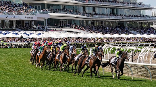 A new report says it is the central responsibility of the racing industry to look after every horse it breeds. “That is not being adequately done now.”