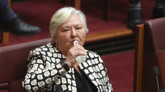 Nationals senator Sam McMahon during a division in the Senate on Wednesday morning.