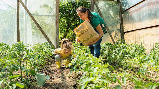 Greenhouses come in all different shapes and sizes.