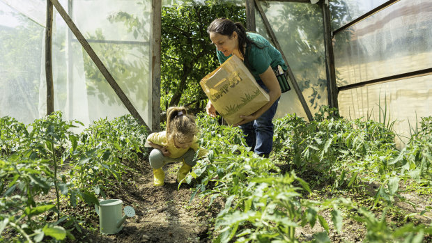 Staying undercover: How to make the most of a greenhouse