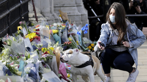 A mourner’s dog smells flowers laid outside the gates of Buckingham Palace.