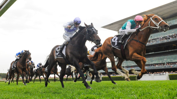 Finche (right) bullocks his way into Melbourne Cup reckoning at Randwick on Saturday.