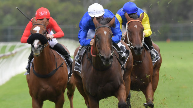 Easy going: Alizee makes light work of the soft track at Rosehill.