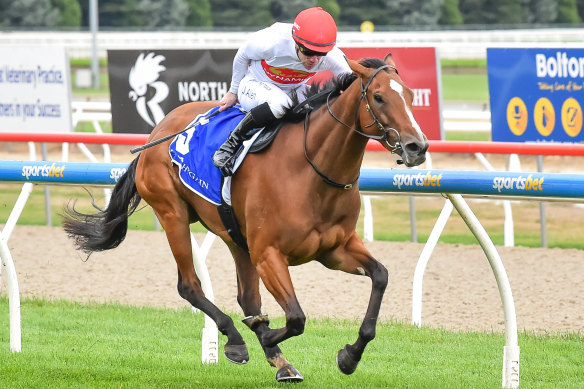 Narrated scored at Ballarat last month and lines up in the last event of a seven-race card at Canterbury on Wednesday.