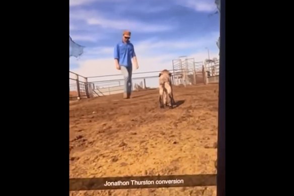 The videos were shared on social media.