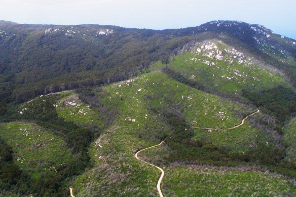 An area of collapsed forest that will be reseeded as part of the trial. 