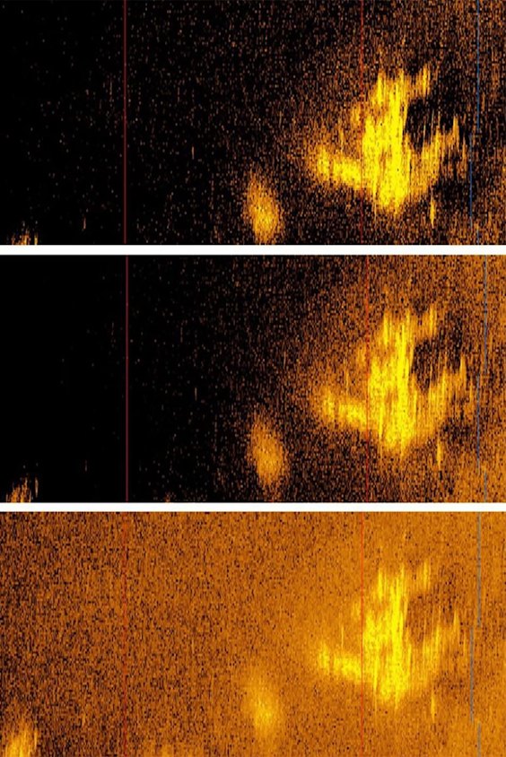 A plane-shaped sonar image turned out to be a pile of rocks.