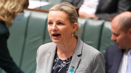 Environment Minister Sussan Ley. 