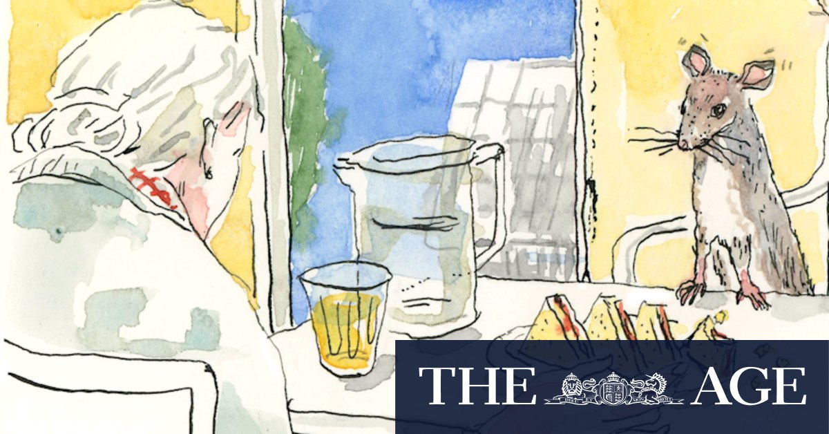 The old lady’s new friend raised eyebrows, but who are we to judge?
