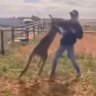 A Broken Hill man was allegedly filmed beating and torturing animals including kangaroos. 