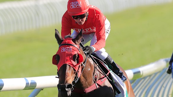 Redzel won the first two editions of The Everest.