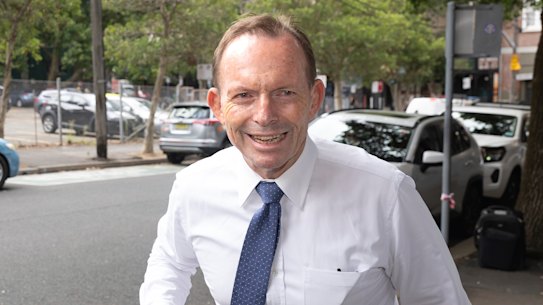 Moderate Liberals believe Tony Abbott will use the presidency to try to drag the party further to the right in pursuit of One Nation voters.