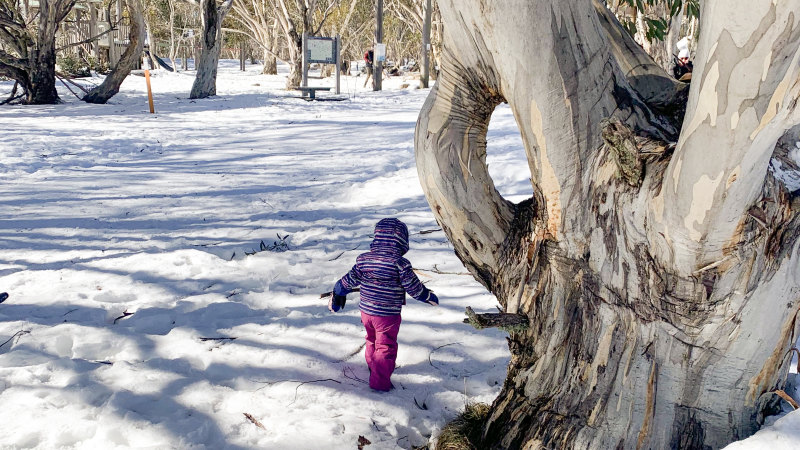 Seeking the promise of re-creation in the snow with a grandchild
