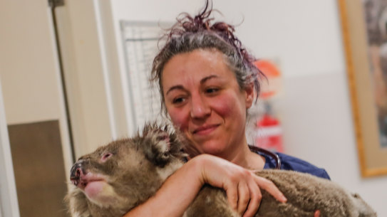 Volunteers can apply to be a foster carer for injured wildlife.