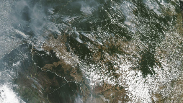 This satellite image shows several fires burning in the Brazilian Amazon forest.  