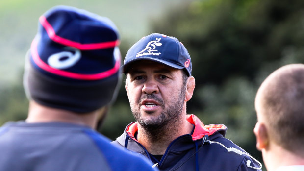 Beleaguered: Michael Cheika is getting on with the job ahead of Bledisloe II in Auckland this weekend. 