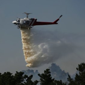 Water is dropped on a bushfire at Greta, in the Hunter Valley, last month.