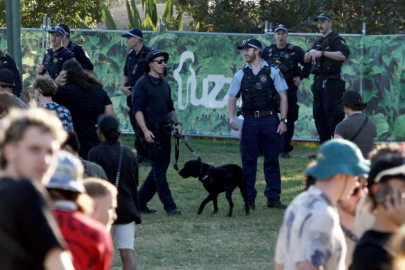 Police and sniffer dogs at the Listen Out festival at Sydney’s Centennial Park on Saturday.