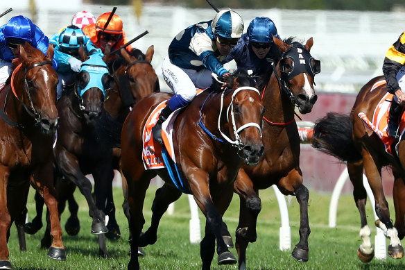 Blue Diamond winner Tagaloa lines up in Saturday's Caulfield Guineas.