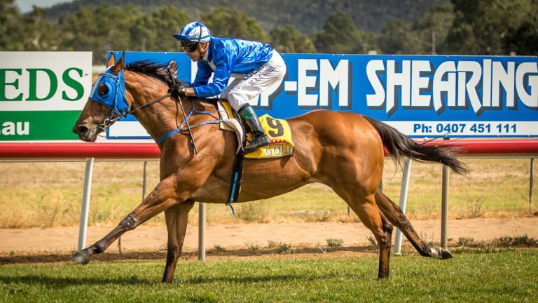 Boots and all: Racing returns the central west at Dubbo today.