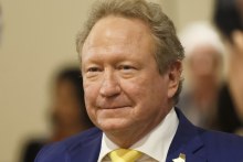 Fortescue Metals Group executive chairman Andrew Forrest.