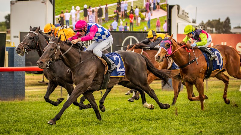 Martin and Tavros Taking on Big Guns After Back-to-back Wins