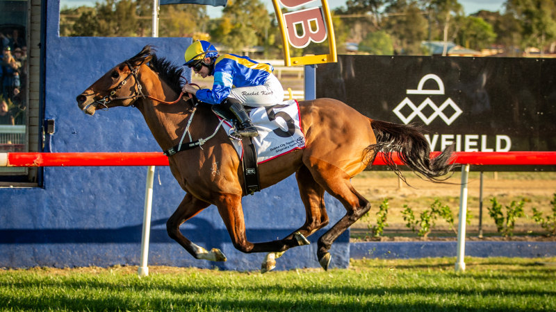 Race-by-race tips and previews for Sunday’s Dubbo meeting