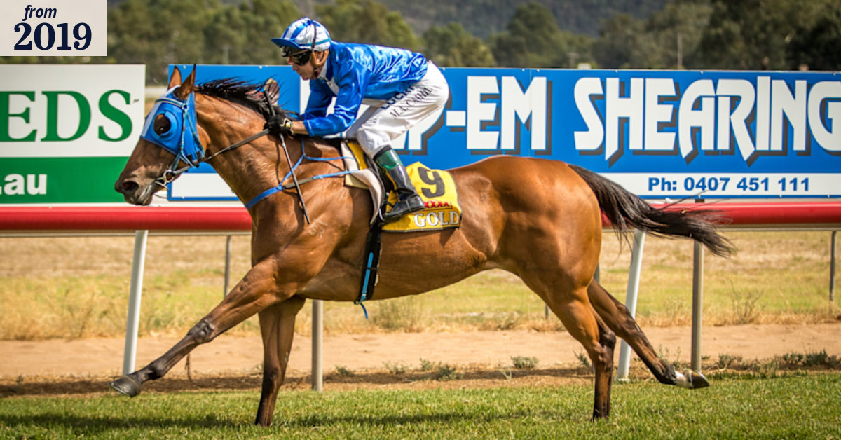 Race-by-race tips and preview for Wellington on Monday