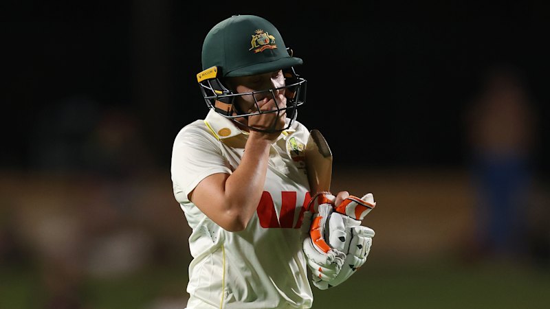 Alyssa Healy out for 13 on day one of day-night Test in Perth