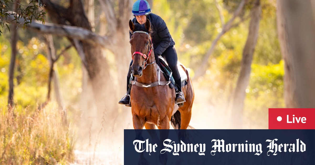 Melbourne Cup 2025 LIVE: Rain continues as Flemington gets set for biggest day of the year