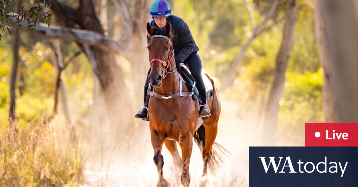 Main race to leap at 3pm; observe weblog updates on horses, suggestions, odds and trend