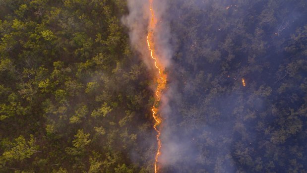 A drone photo of a bushfire front in Cape York taken by Robert Irwin.