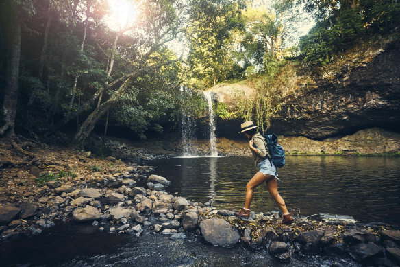 "We’ve watched wildlife flourish in ways we have not seen in the 40 years."