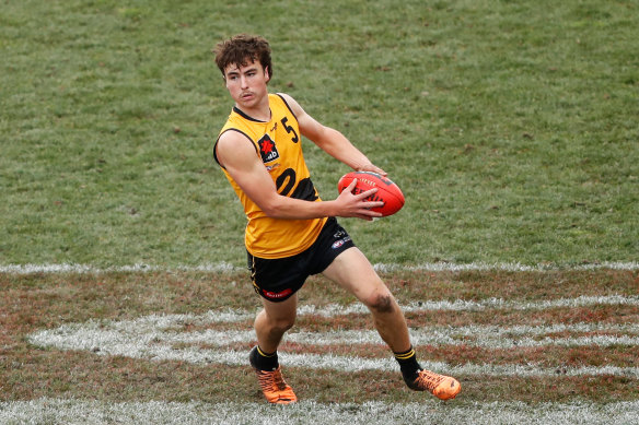 Steely Green, named after rock’n’roll band Steely Dan, was struck by lightning five years ago