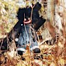 Billy Woods’ Golliwog.