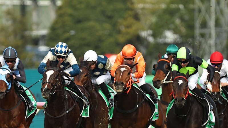 Race-by-race tips and previews for Rosehill on Saturday