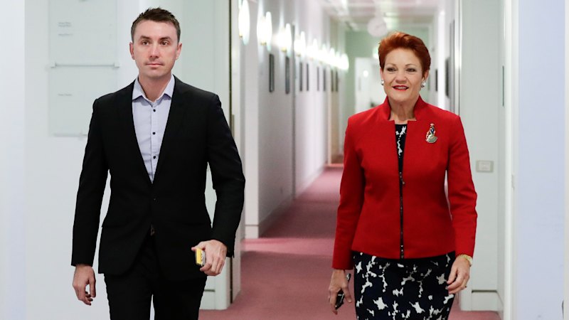 Inside the frenzy to find ‘Pauline whisperers' to cosy up to One Nation