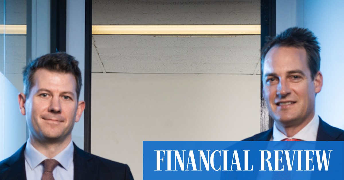 LSN Capital Partners is the small-cap fundie crashing the bears' picnic - Vimarsana News
