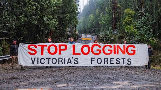 Independent MPs are calling for Environment Minister Tanya Plibersek to scrap Regional Forestry Agreements. 
