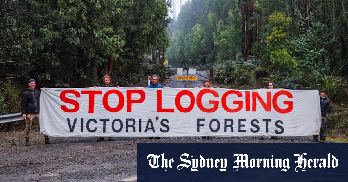 Forestry: Teals demand federal government scrap carve-out for native forest logging - Vimarsana News