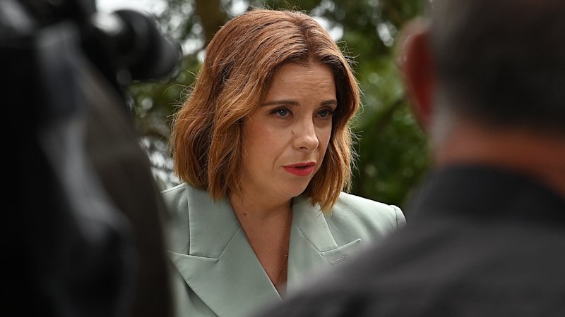 Wells’ Kirribilli comeback mixes social-media crusade with crisis management