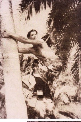Artist Noel Wood pictured climbing a palm on his home island of Bedarra, in far-north Queensland, in 1939.