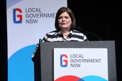Local Government Minister Shelley Hancock says voters will be able to vote in-person, online and via post in December.