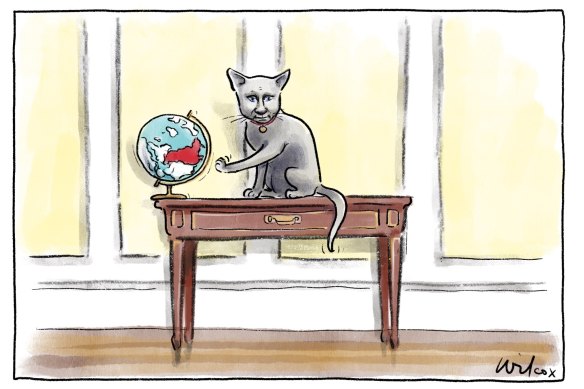 Illustration: Cathy Wilcox