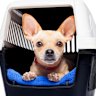Unless your work involves something extremely perilous, it’s unlikely you’ll be able to claim the cost of your trusty hound.