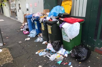 Overflowing rubbish bins in Potts Point.