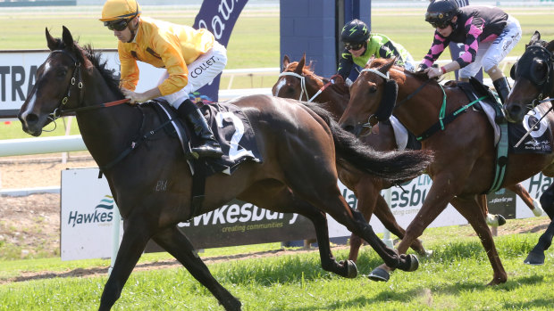 Some handy types head to Hawkesbury for Thursday's eight-race meeting.